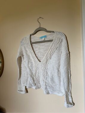 wild fable Cream V-Neck Crochet-Trim Knit Sweater